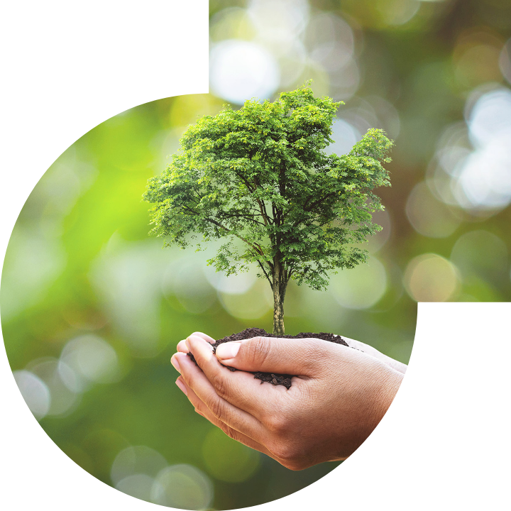 關懷人類、文化、環境與社會